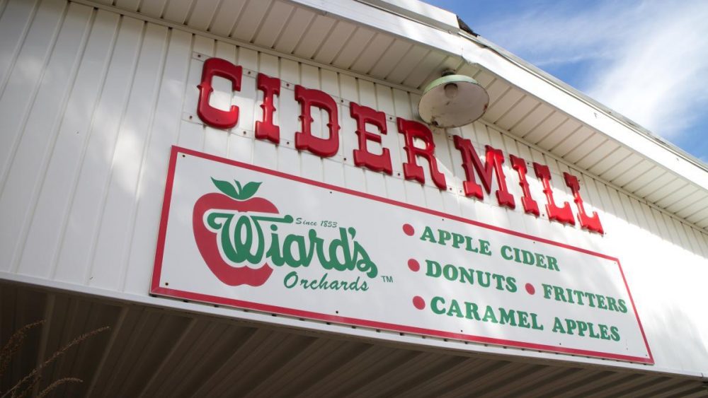 Destination Ann Arbor Wiard's Orchards and Country Fair